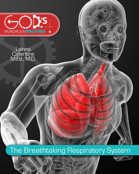 The Breathtaking Respiratory System - Elementary Anatomy