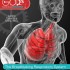 The Breathtaking Respiratory System - Elementary Anatomy