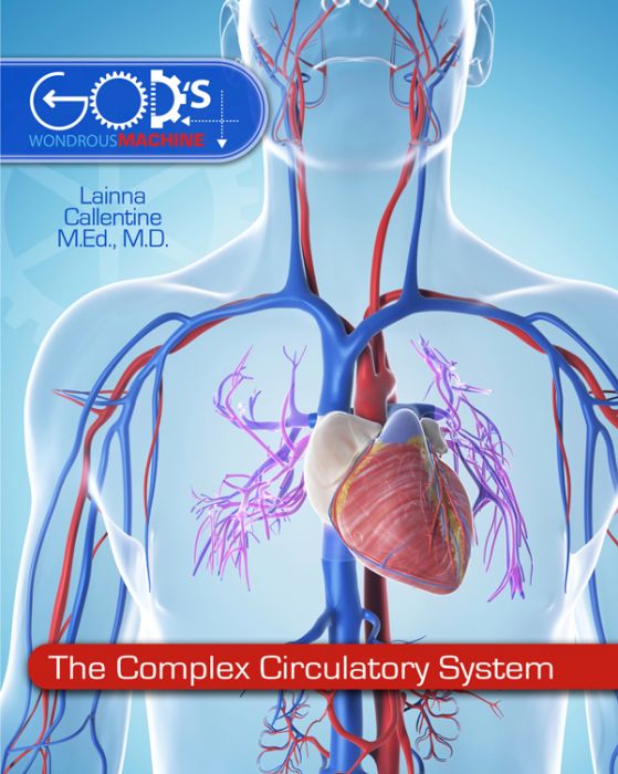 The Complex Circulatory System - Elementary Anatomy