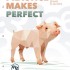 Practice Makes Perfect: Level 1